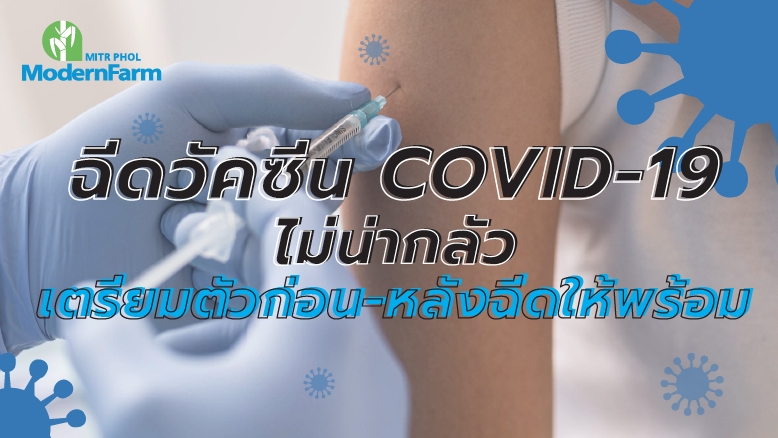 ฉีดวัคซีน COVID-19 ไม่น่ากลัว เตรียมตัวก่อน-หลังฉีดให้พร้อม
