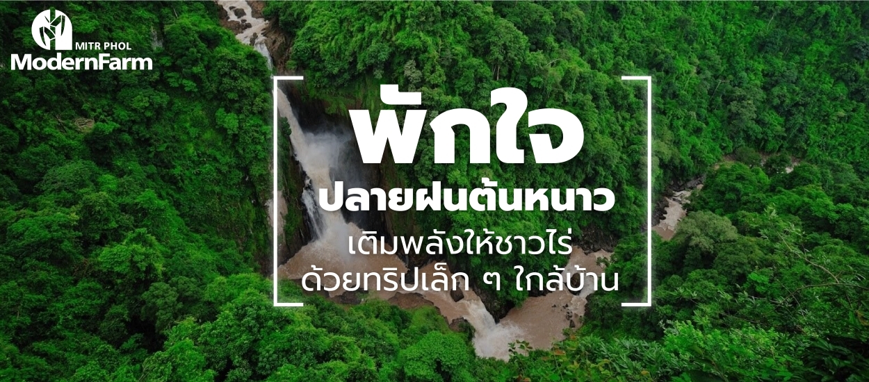 พักใจปลายฝนต้นหนาว : เติมพลังให้ชาวไร่ด้วยทริปเล็ก ๆ ใกล้บ้าน