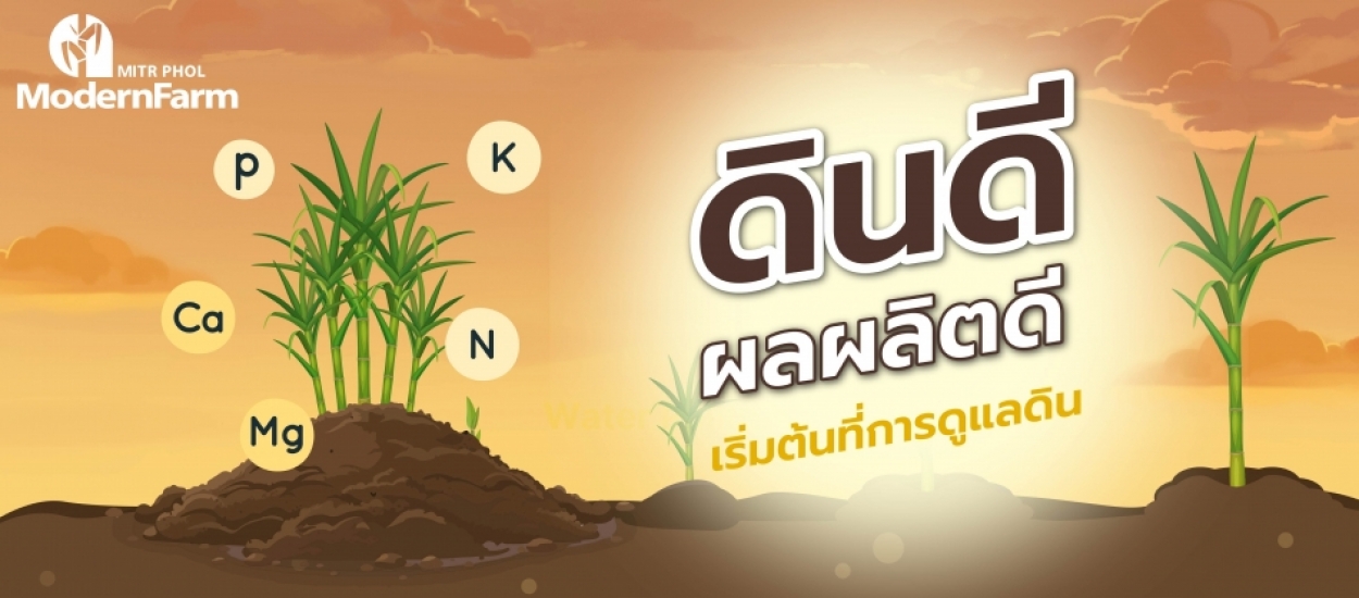 ดินดี ผลผลิตดีเริ่มต้นที่การดูแลดิน