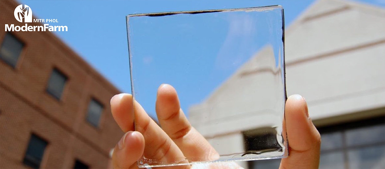 Solar Glass นวัตกรรมกระจกเก็บพลังงานแสงอาทิตย์   