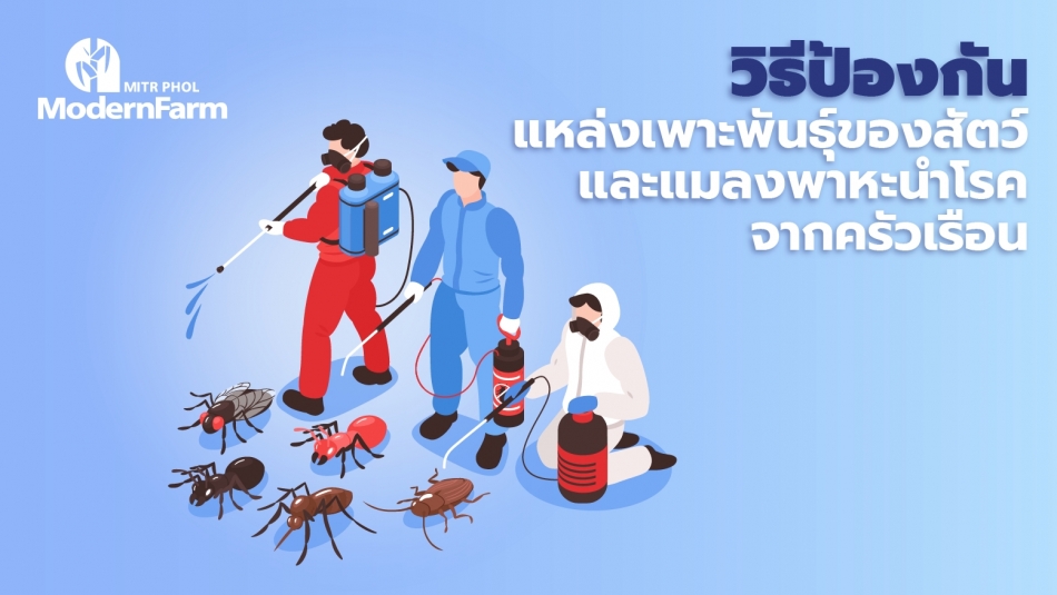 วิธีป้องกันแหล่งเพาะพันธุ์ของสัตว์และแมลงพาหะนำโรคจากครัวเรือน