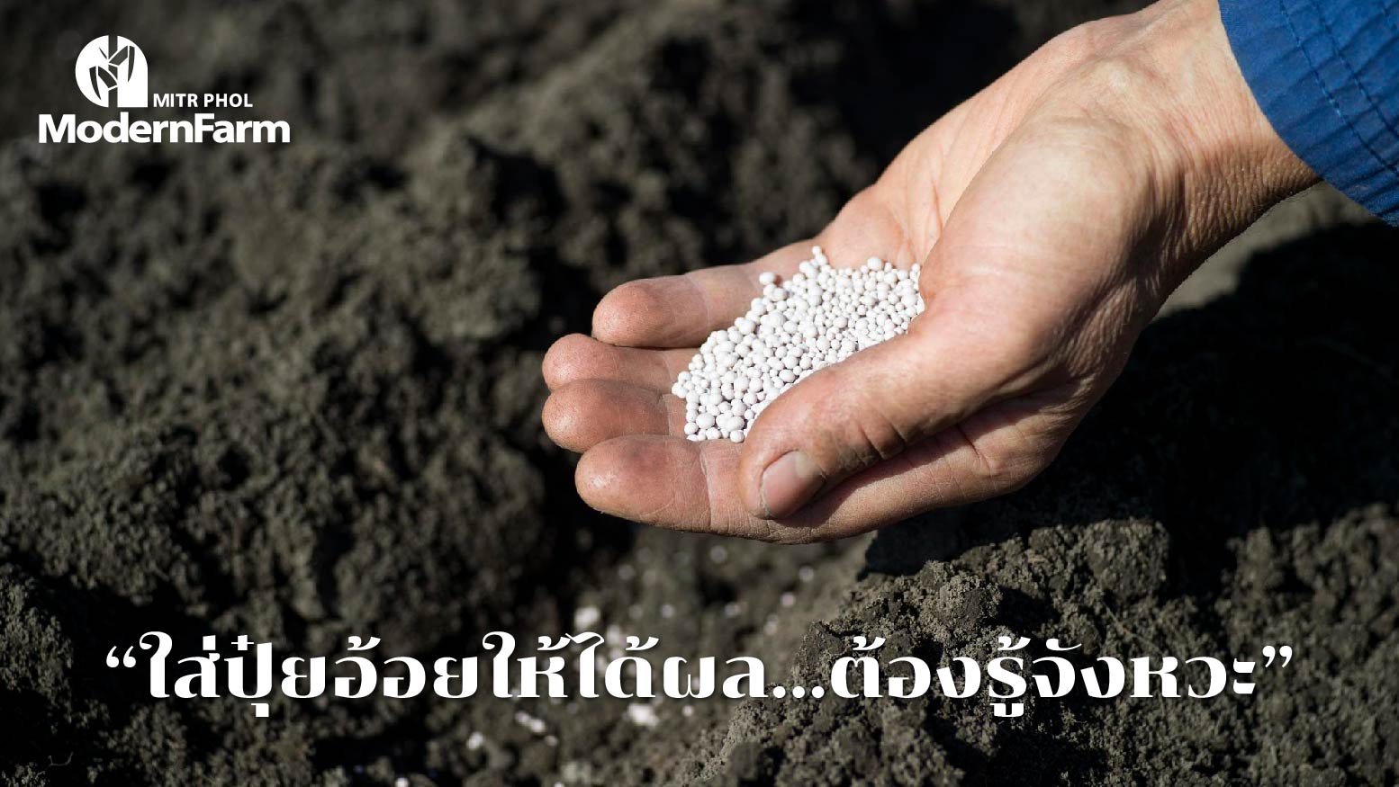 ใส่ปุ๋ยอ้อยให้ได้ผล…ต้องรู้จังหวะ