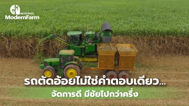 รถตัดอ้อยไม่ใช่คำตอบเดียว…จัดการดี มีชัยไปกว่าครึ่ง