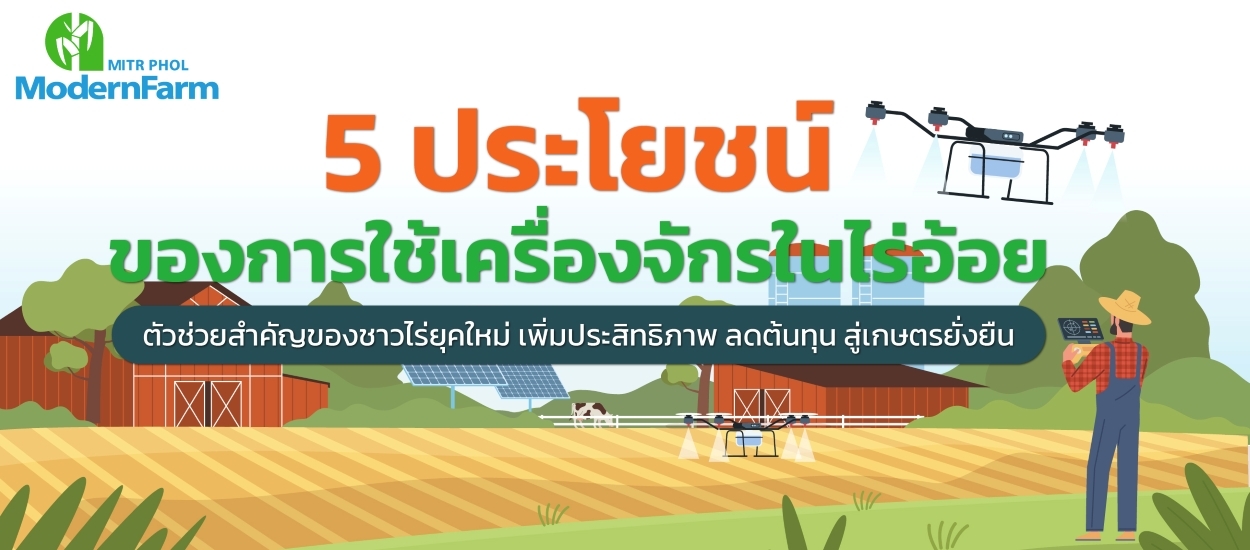 5 ประโยชน์ของการใช้เครื่องจักรในไร่อ้อย ตัวช่วยสำคัญของชาวไร่ยุคใหม่ เพิ่มประสิทธิภาพ ลดต้นทุน สู่เกษตรยั่งยืน