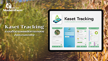 Kaset Tracking ระบบติดตามผลผลิตการเกษตรสำหรับเกษตรกรไทย