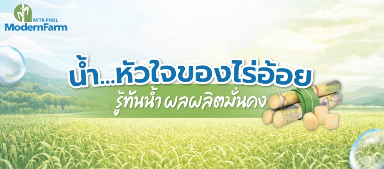 น้ำ…หัวใจของไร่อ้อย รู้ทันน้ำ ผลผลิตมั่นคง