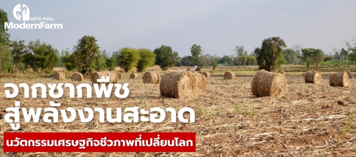 จากซากพืชสู่พลังงานสะอาด เศรษฐกิจชีวภาพ นวัตกรรมเปลี่ยนโลกให้ยั่งยืน