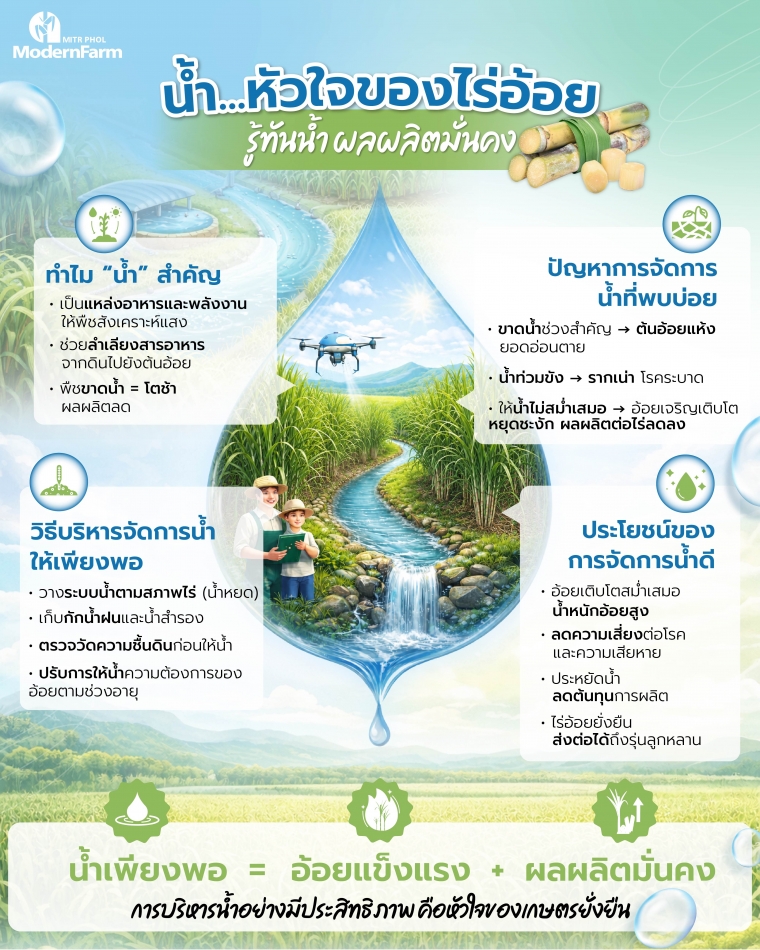 05_info_น้ำ หัวใจของไร่อ้อย รู้ทันน้ำ ผลผลิตมั่นคง-01.jpeg