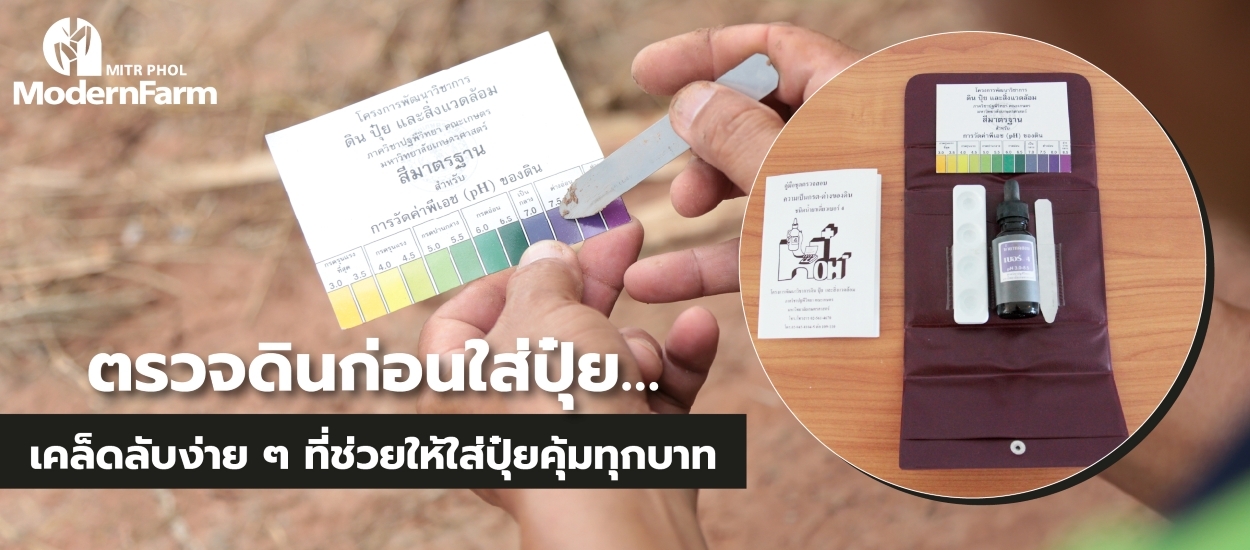 ตรวจดินก่อนใส่ปุ๋ย…เคล็ดลับง่าย ๆ ที่ช่วยให้ใส่ปุ๋ยคุ้มทุกบาท