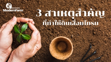 3 สาเหตุสำคัญที่ทำให้ดินเสื่อมโทรม