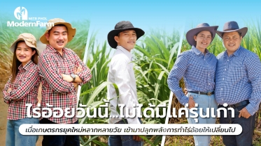ไร่อ้อยวันนี้... ไม่ได้มีแค่ รุ่นเก๋า เมื่อพลังคนต่างวัย ปั้นโมเดลเกษตรยุคใหม่ให้ปังกว่าเดิม