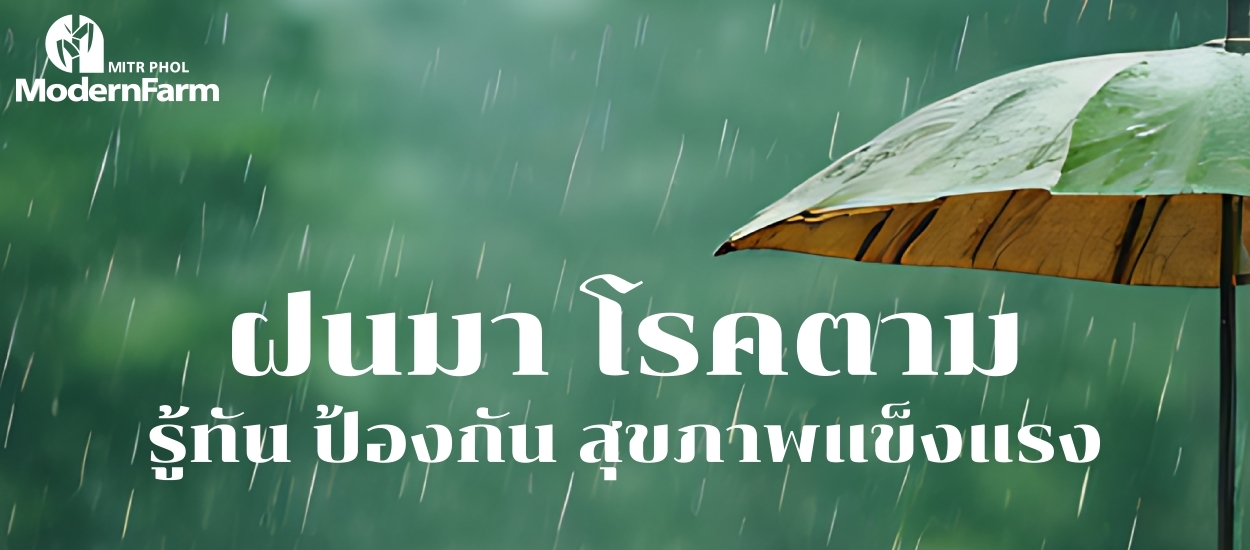 ฝนมา โรคตาม รู้ทัน ป้องกัน สุขภาพแข็งแรง