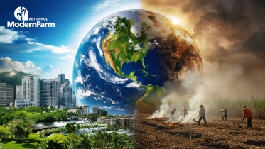 เล็ก ๆ จากเรา แต่ยิ่งใหญ่เพื่อโลก