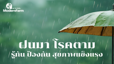 ฝนมา โรคตาม รู้ทัน ป้องกัน สุขภาพแข็งแรง