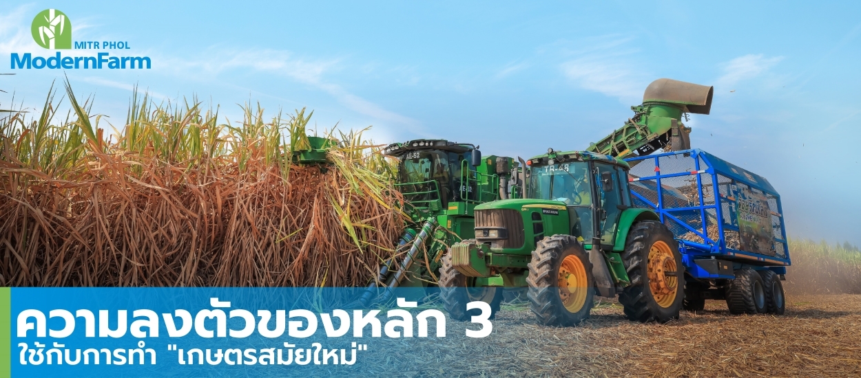 ความลงตัวของหลัก 3 ใช้กับการทำ เกษตรสมัยใหม่