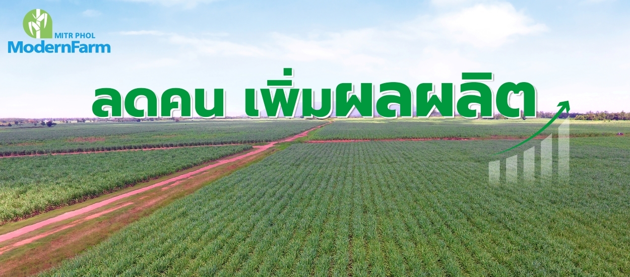 ลดคน เพิ่มผลผลิต