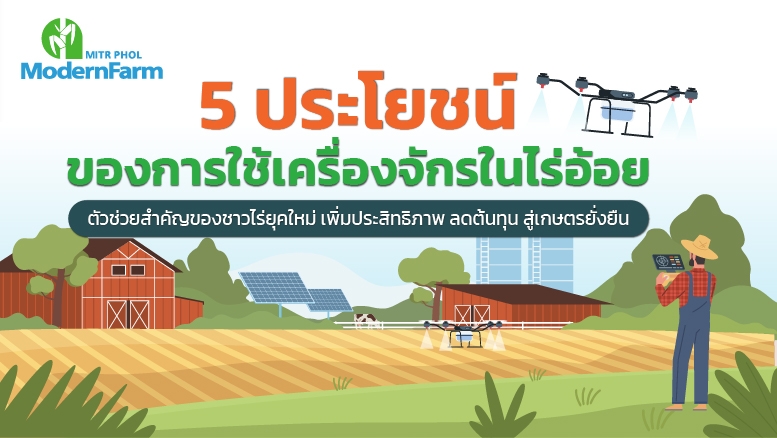 5 ประโยชน์ของการใช้เครื่องจักรในไร่อ้อย ตัวช่วยสำคัญของชาวไร่ยุคใหม่ เพิ่มประสิทธิภาพ ลดต้นทุน สู่เกษตรยั่งยืน