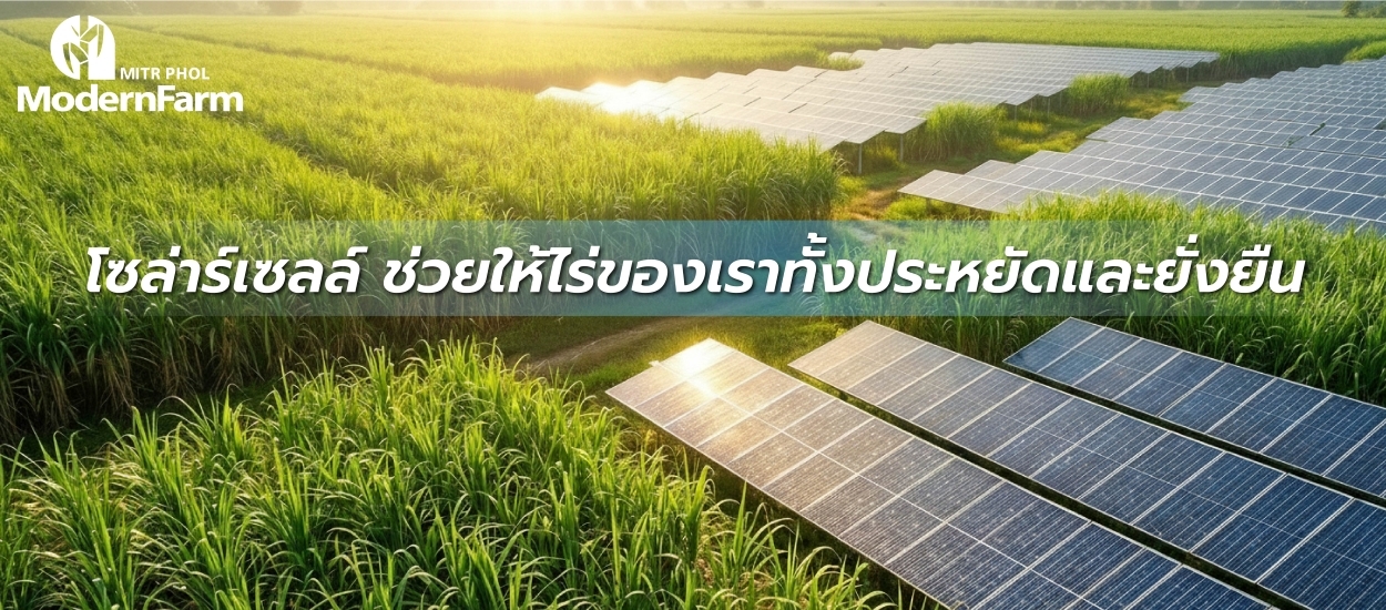 โซล่าร์เซลล์ ช่วยให้ไร่ของเราทั้งประหยัดและยั่งยืน