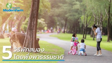 5 วิธีพักสมอง…โดยพึ่งพาธรรมชาติ