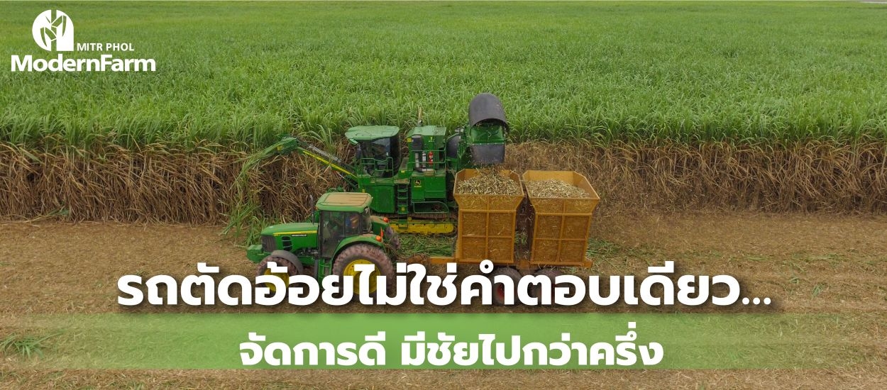 รถตัดอ้อยไม่ใช่คำตอบเดียว…จัดการดี มีชัยไปกว่าครึ่ง