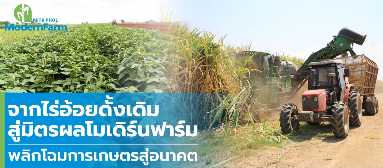 จากไร่อ้อยดั้งเดิมสู่มิตรผลโมเดิร์นฟาร์ม พลิกโฉมการเกษตรสู่อนาคต