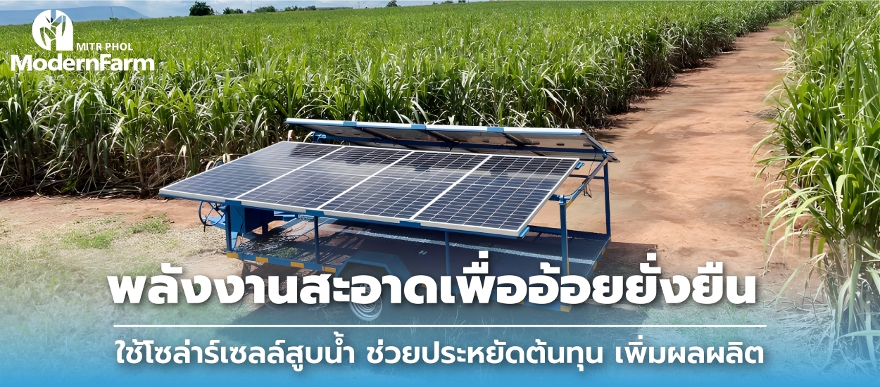 พลังงานสะอาดเพื่ออ้อยยั่งยืน ใช้โซล่าร์เซลล์สูบน้ำ ช่วยประหยัดต้นทุน เพิ่มผลผลิต