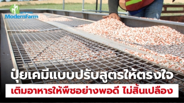 ปุ๋ยเคมีแบบปรับสูตรให้ตรงใจ เติมอาหารให้พืชอย่างพอดี ไม่สิ้นเปลือง