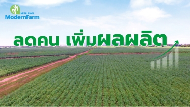 ลดคน เพิ่มผลผลิต