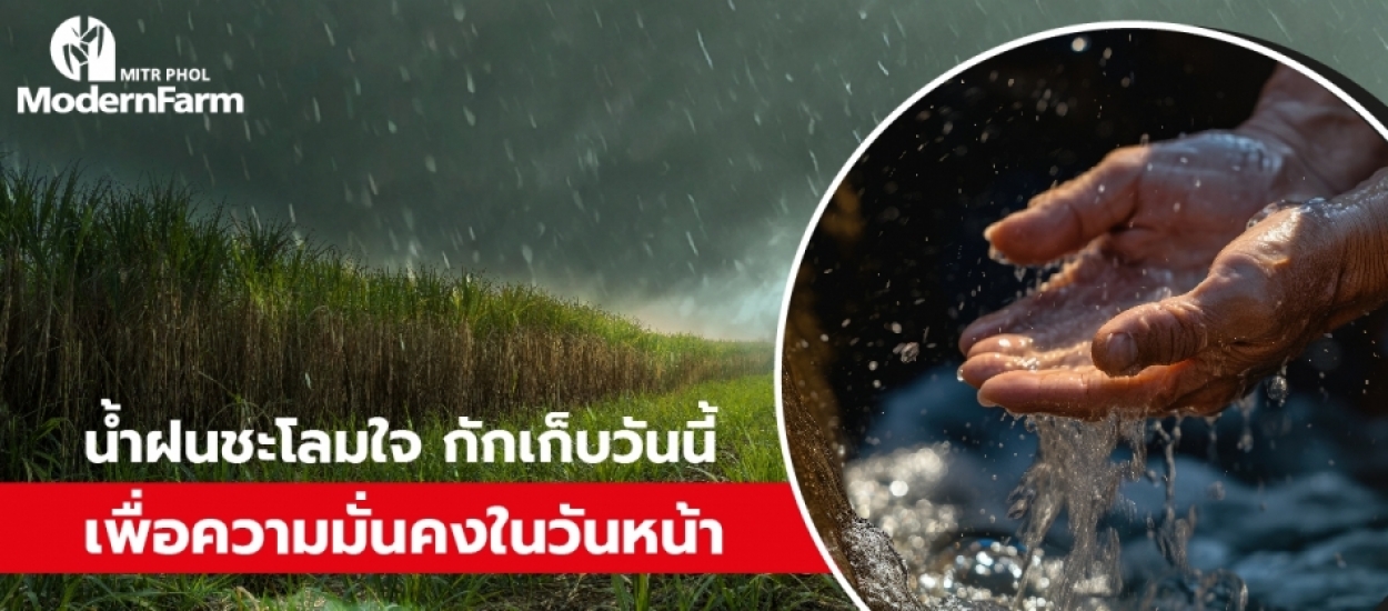 น้ำฝนชะโลมใจ กักเก็บวันนี้ เพื่อความมั่นคงในวันหน้า