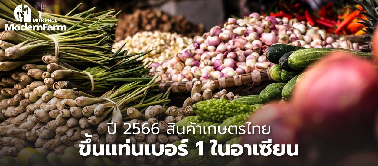 ปี 2566 สินค้าเกษตรไทยขึ้นแท่นเบอร์ 1 ในอาเซียน