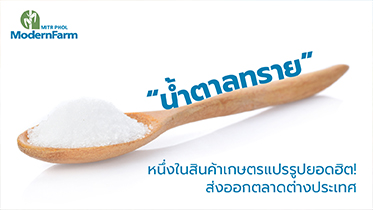 น้ำตาลทราย หนึ่งในสินค้าเกษตรแปรรูปยอดฮิต! ส่งออกตลาดต่างประเทศ