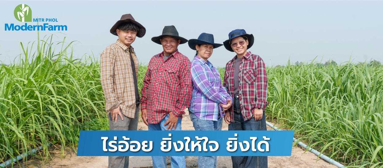ไร่อ้อย ยิ่งให้ใจ ยิ่งได้