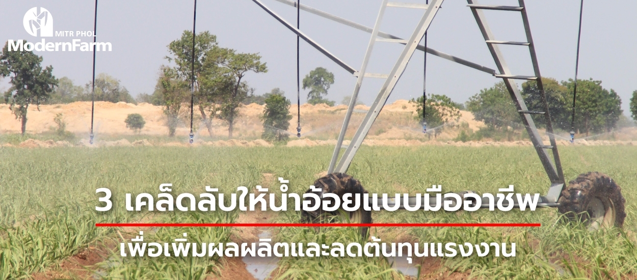 เคล็ดลับให้น้ำอ้อยแบบมืออาชีพ เพื่อเพิ่มผลผลิตและลดต้นทุนแรงงาน