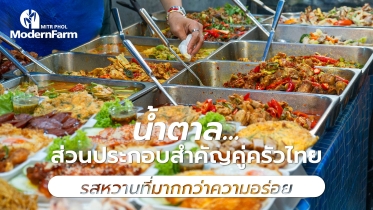 น้ำตาล…ส่วนประกอบสำคัญคู่ครัวไทย รสหวานที่มากกว่าความอร่อย