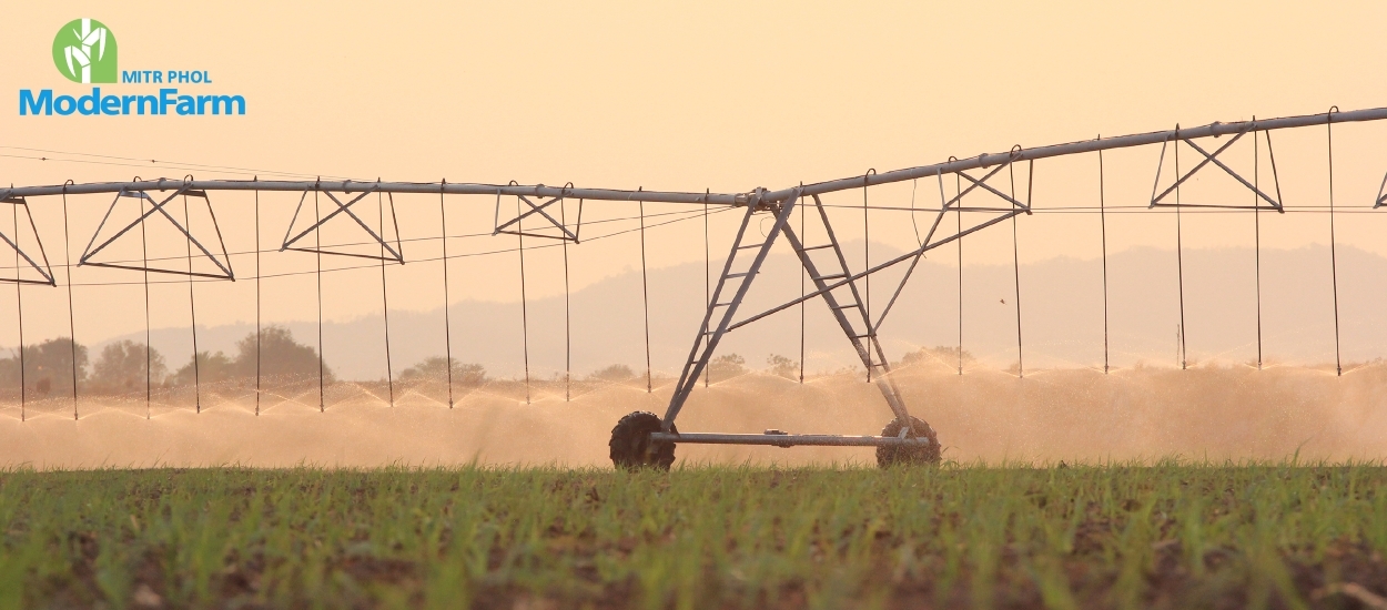 บริหารจัดการน้ำอย่างไรให้ครบสูตร ผลผลิตงอกงาม