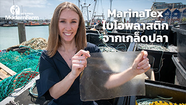 MarinaTex ไบโอพลาสติกจากเกล็ดปลา