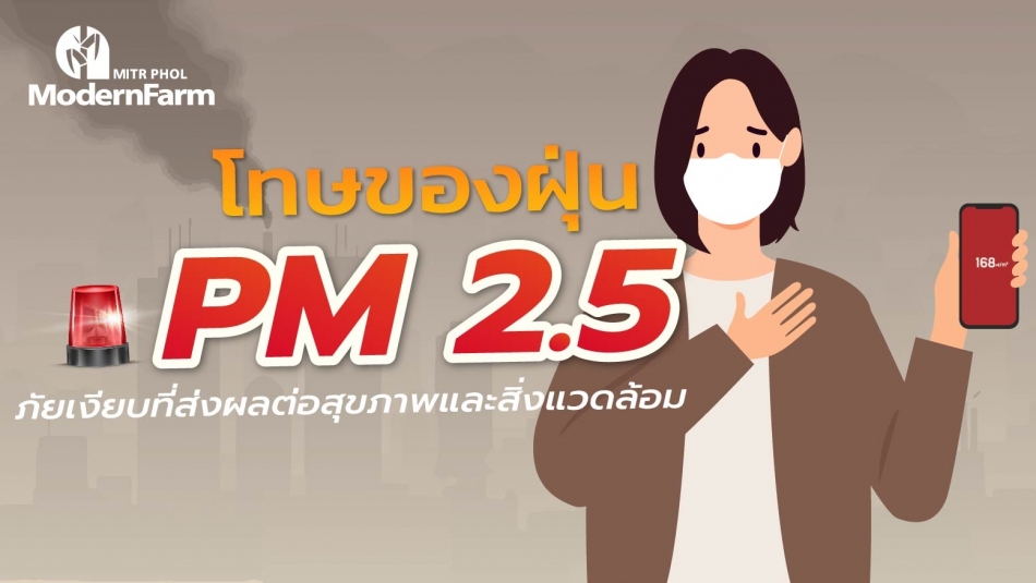 โทษของฝุ่น PM 2.5 ภัยเงียบที่ส่งผลต่อสุขภาพและสิ่งแวดล้อม