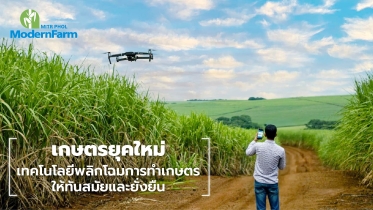 เกษตรยุคใหม่: เทคโนโลยีพลิกโฉมการทำเกษตรให้ทันสมัยและยั่งยืน
