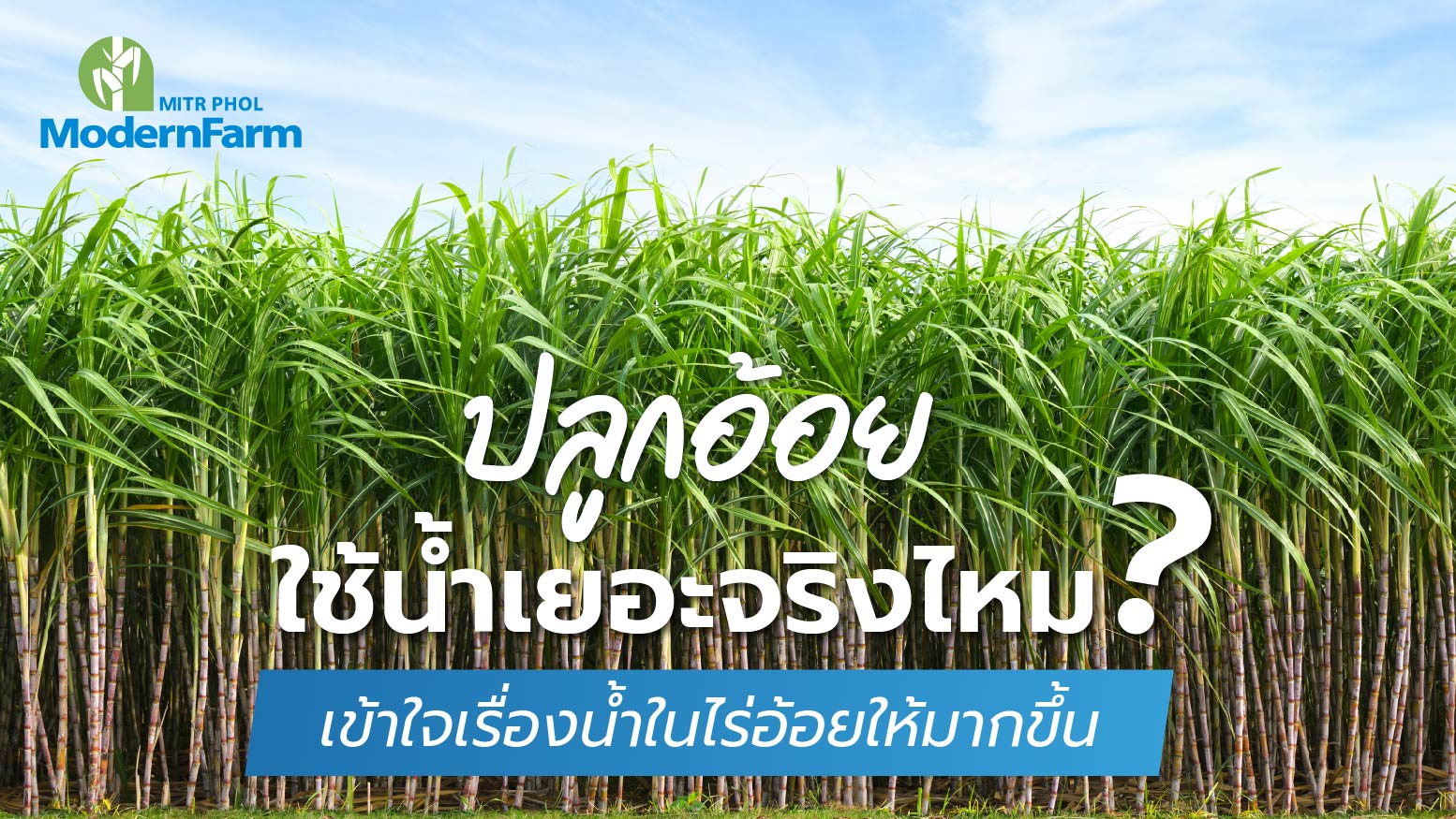ปลูกอ้อยใช้น้ำเยอะจริงไหม? เข้าใจเรื่องน้ำในไร่อ้อยให้มากขึ้น