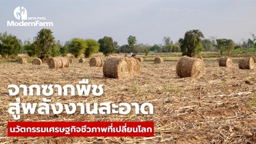 จากซากพืชสู่พลังงานสะอาด เศรษฐกิจชีวภาพ นวัตกรรมเปลี่ยนโลกให้ยั่งยืน